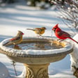 This Heated Bird Bath Makes Winter Yards Come Alive