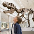 Children who show a strong interest in dinosaurs may have higher cognitive abilities
